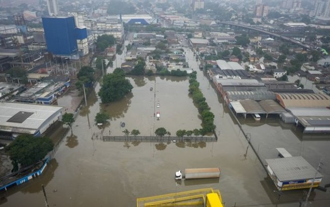 Bichos mortos e mau cheiro tomam Porto Alegre após enchente Bichos mortos e mau cheiro tomam Porto Alegre após enchente