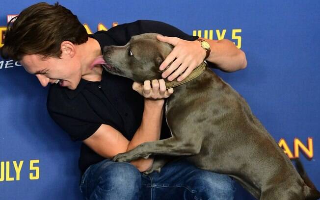 O ator Tom Holland e sua cadela Tessa, em um de seus inúmeros momentos divertidos que vivem juntos