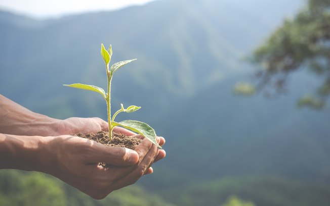 Mercado e consumidores levam empresas a adotar ações de ESG Mercado e consumidores levam empresas a adotar ações de ESG