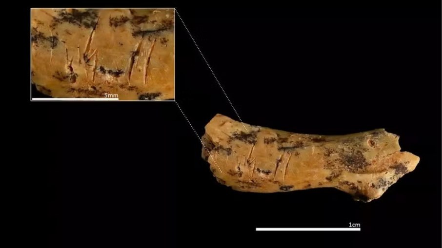 Vértebra infantil de 850 mil anos revela canibalismo antigo Vértebra infantil de 850 mil anos revela canibalismo antigo