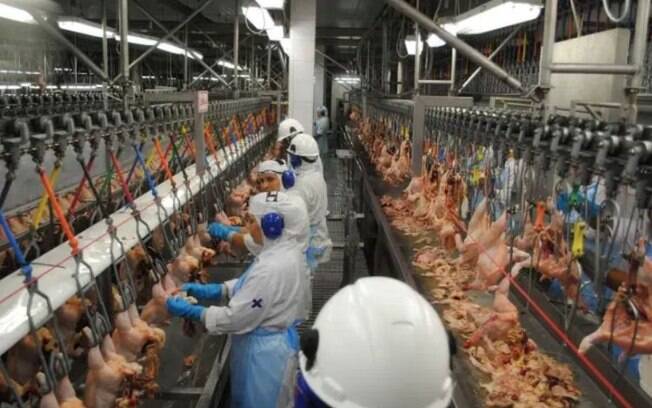 Produção de frango no Rio Grande do Sul; ministra disse não acreditar que a exportação fosse impactada com a notícia do frango contaminado