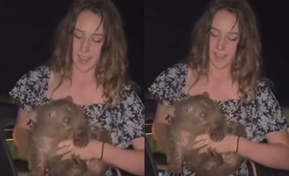 Turista dos EUA é criticada após surgir com filhote de wombat