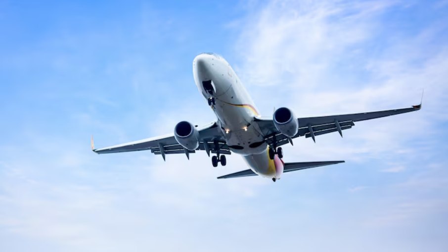 A companhia aérea portuguesa havia contrariado a decisão judicial que permitiu o embarque do cão na cabine do avião. A companhia aérea portuguesa havia contrariado a decisão judicial que permitiu o embarque do cão na cabine do avião.