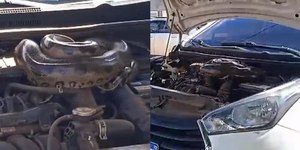 Motorista encontra sucuri gigante no motor do carro