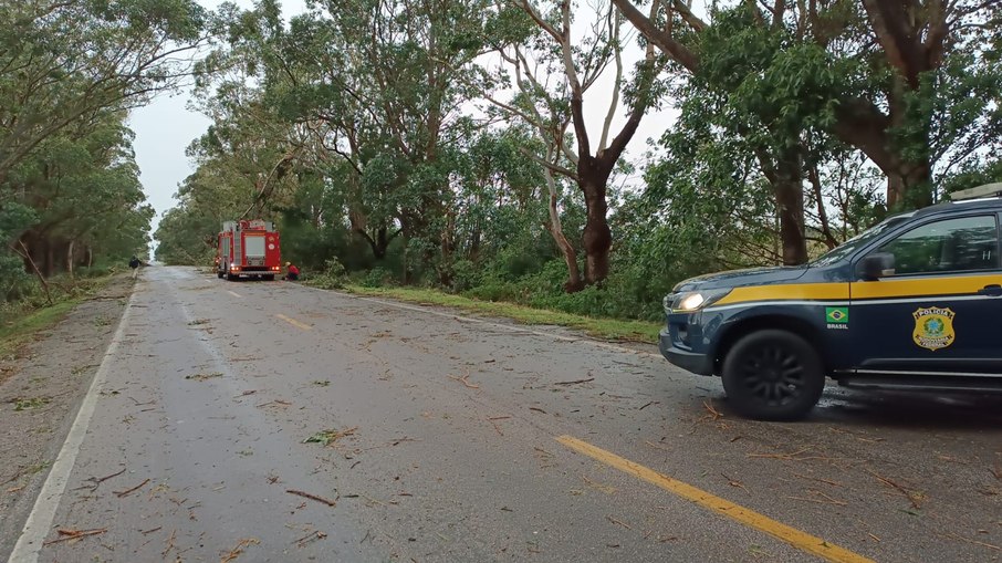 Equipes da PRF a CBM retiraram árvores que bloqueavam parcialmente a passagem da BR-471 nesta manhã (19), em Rio Grande (RS) Equipes da PRF a CBM retiraram árvores que bloqueavam parcialmente a passagem da BR-471 nesta manhã (19), em Rio Grande (RS)