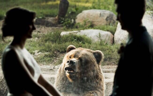 Urso aparece em foto de casal tendo reações engraçadas durante o casamento