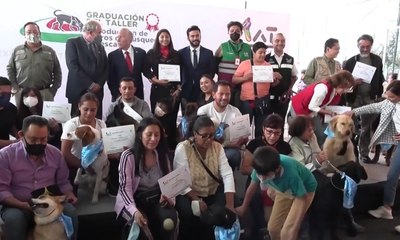 Cachorros se formam em curso de sobrevivência para terremotos