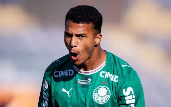 Fabiano recebe primeira chance entre os profissionais do Palmeiras