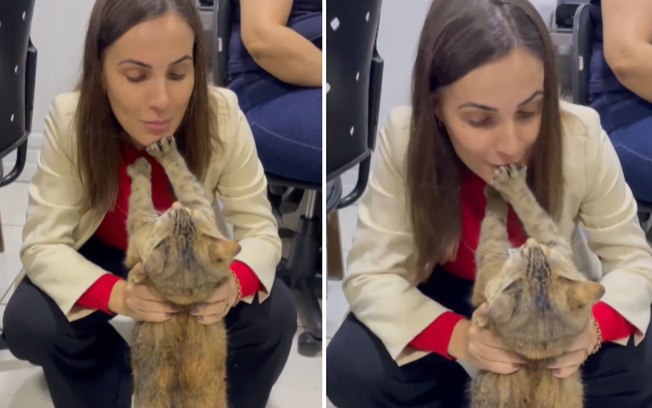 Gata “estagiária” leva puxão de orelha por fugir do serviço 2rscvxw28jlss2tyo8wlv770n