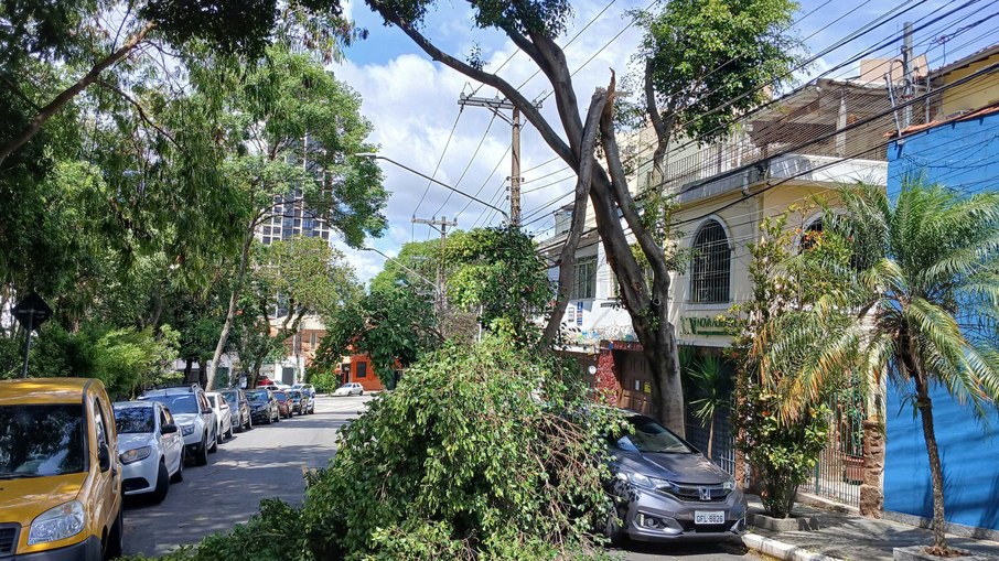 O vendaval derrubou arvores e causou quedas de energia durante a noite