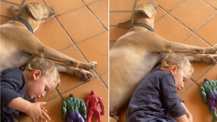 Menino se deita ao lado de cachorro da família e canta para o pet