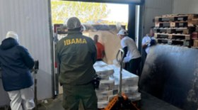 Superbactérias avançam e ameaçam a vida de humanos