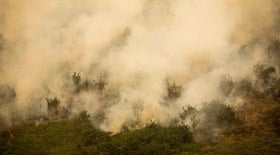 Governo federal vai investir R$ 100 mi contra queimadas