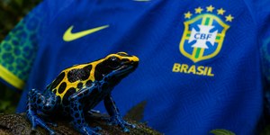 Conheça o sapo que inspira a camiseta da Seleção na Copa