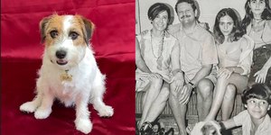 Cachorrinha de "Ainda Estou Aqui" vence prêmio Fido Awards