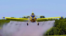 Prazo para relatório do Cancro/Greening termina em 15 de julho