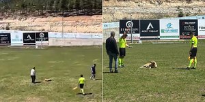 Árbitro expulsa cachorro de futebol com cartão vermelho; assista