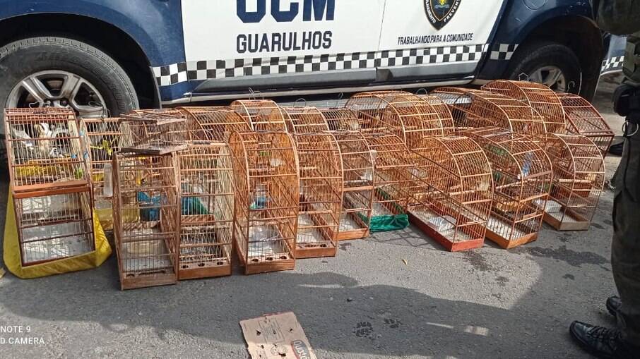 A ação fez parte da Operação Saturação Guarulhos Mais Segura.