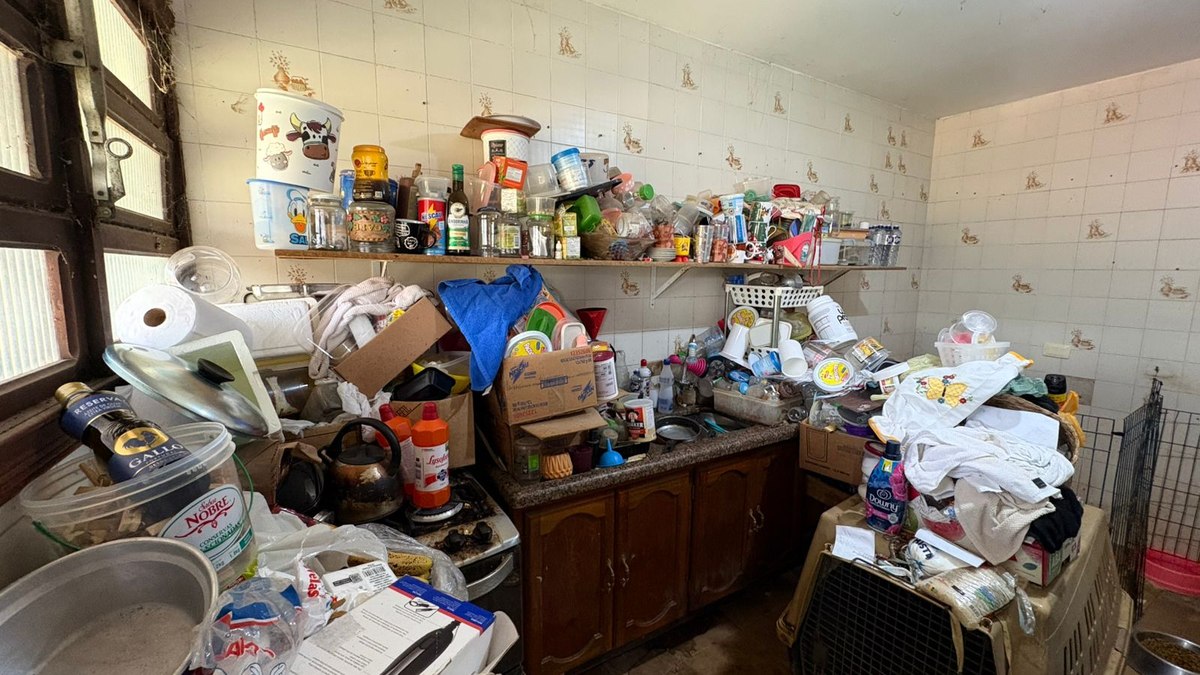 Polícia resgatou 125 animais vítimas de maus-tratos na Grande SP Polícia resgatou 125 animais vítimas de maus-tratos na Grande SP