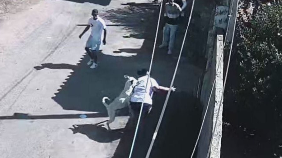 Mulher é atacada por pitbull no interior de São Paulo