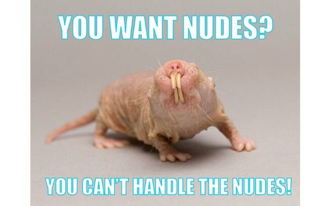 'Você quer nudes? Você não pode lidar com as nudes', diz uma das imagens disponibilizadas pela campanha para os jovens