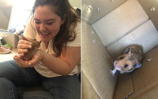 A jovem compartilhou a conversa que teve com o pai depois que ele perdeu seu hamster e viralizou no Twitter