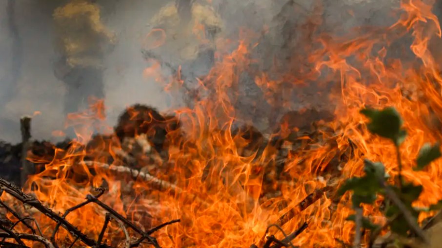 De cada 100 hectares queimados, 60 são em territórios particulares. 