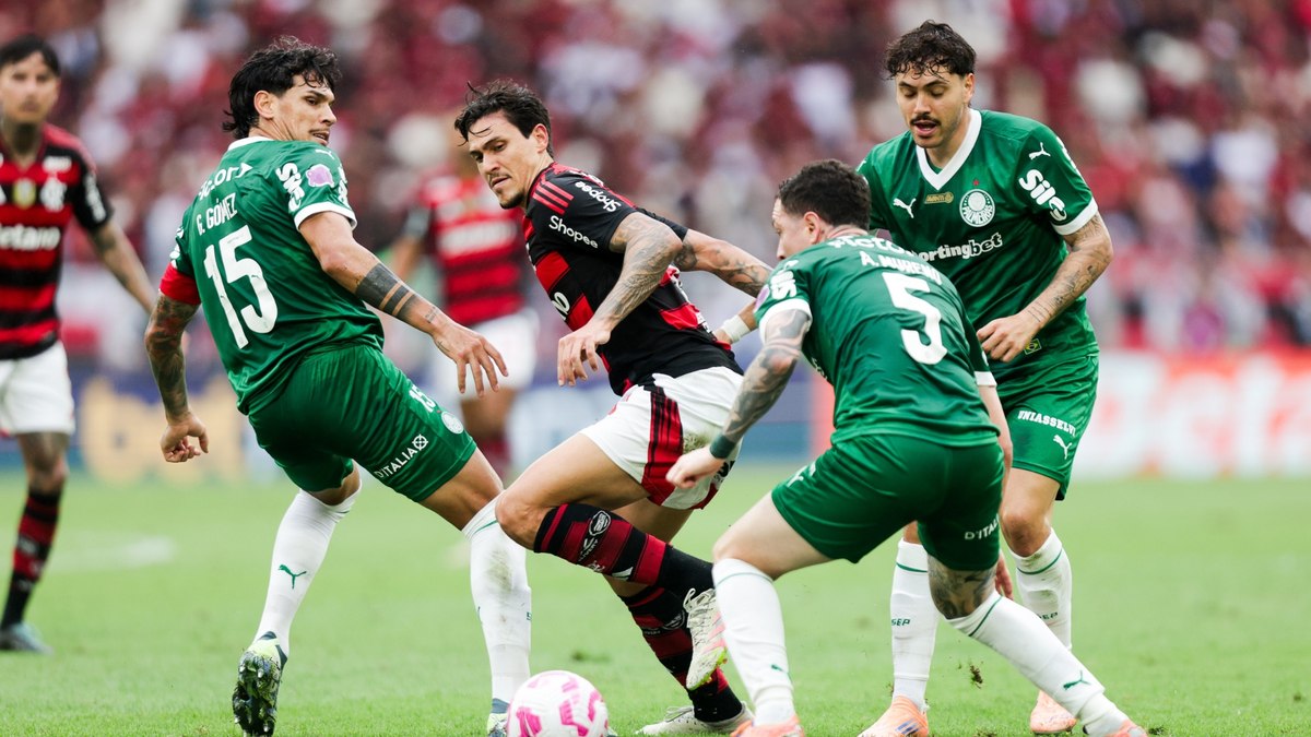 Com retrospecto favorável, Flamengo encara o Palmeiras em duelo decisivo pela liderança do Brasileirão!
