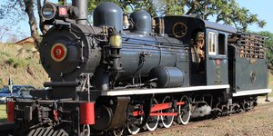 Veja quanta lenha e água a Maria Fumaça precisa para uma viagem