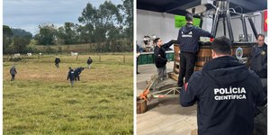 Veja o que se sabe sobre piloto de balão que caiu em SC