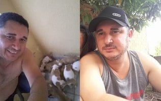 Perigo em casa: cão mata o tutor; ataques de pitbull se sucedem