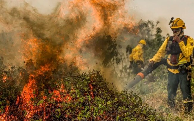 Fogo já consumiu 1,3 milhão de hectares e volta a aumentar no Pantanal