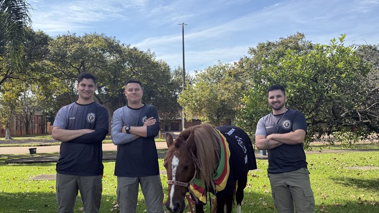 Equipe que resgatou cavalo Caramelo o reencontra após dois anos