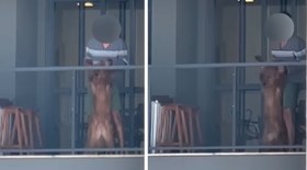 Mulher envenena marido e enteado com chumbinho