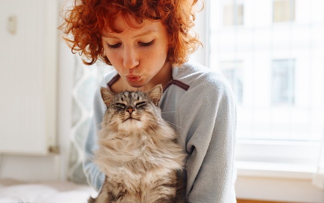 5 dicas para fazer o seu gato te amar mais