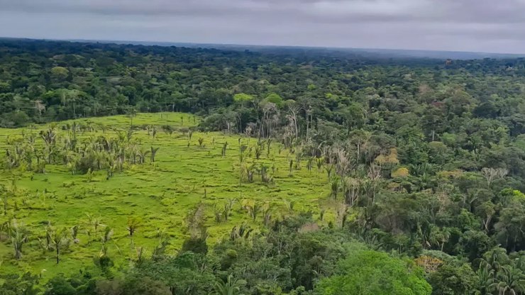 Instituto aponta zero desmatamento em 60% das terras indígenas da Amazônia