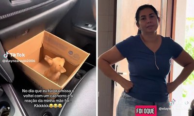 Jovem encontra cão em missa e leva filhote caramelo para casa