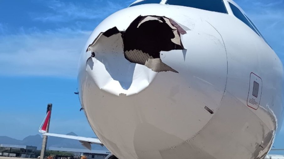 Choque de pássaro em Airbus da Latam Choque de pássaro em Airbus da Latam