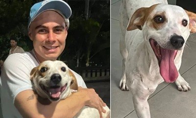 Tatá Werneck e Rafa Vitti adotam cachorro com deficiência 