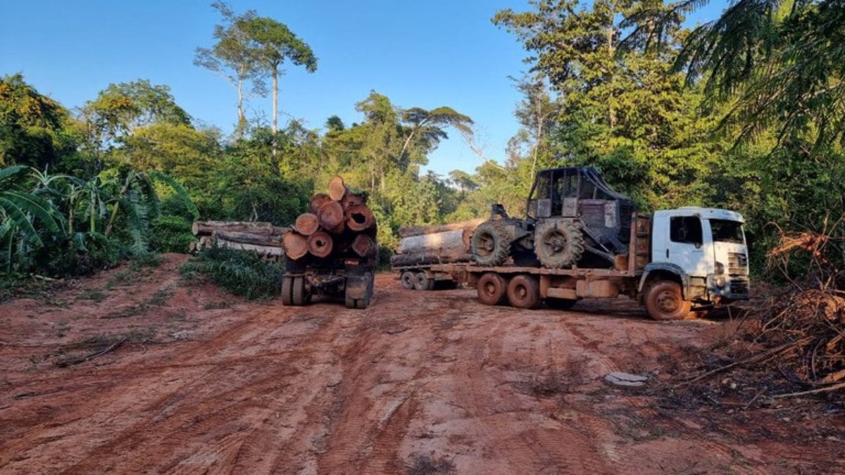 Operação PF Contra Madeira e Garimpo em Terra Indígena no Mato Grosso 