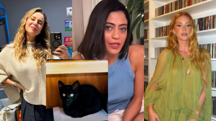 Paolla Oliveira, Carol Castro e Marina Ruy Barbosa fazem alerta sobre gatos pretos Paolla Oliveira, Carol Castro e Marina Ruy Barbosa fazem alerta sobre gatos pretos