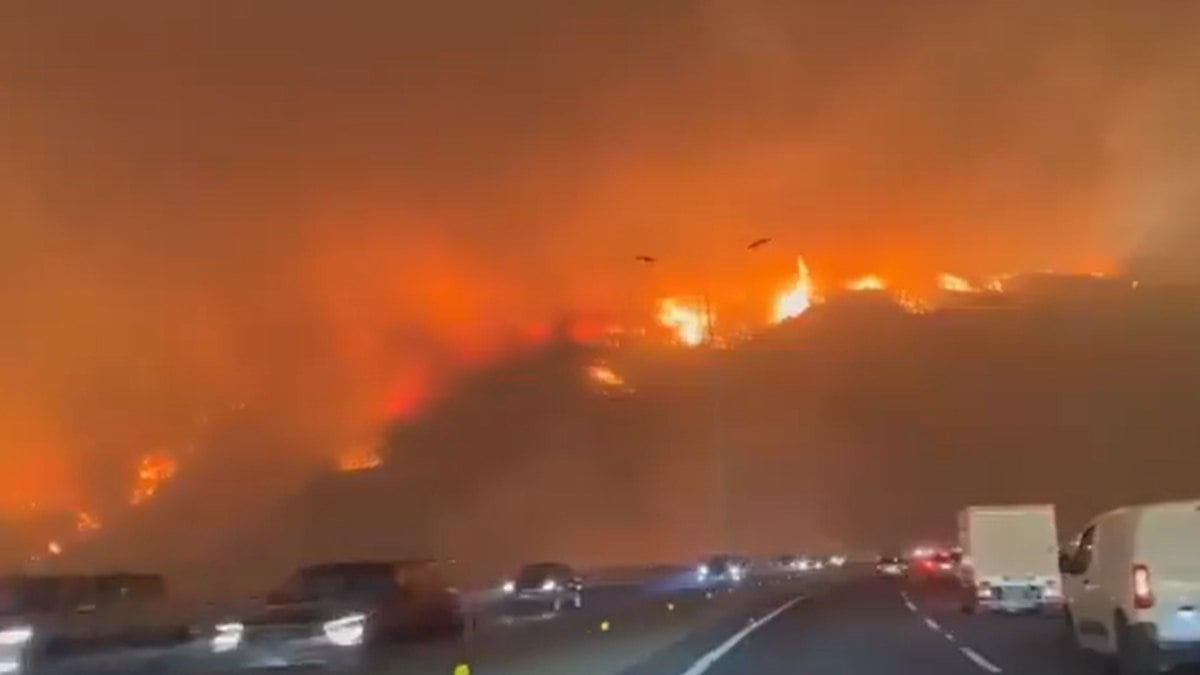 Incêndios florestais no Chile deixaram 137 mortos