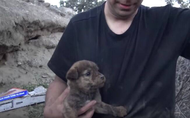 Homem resgata 9 filhotes de cachorro de uma pequena caverna