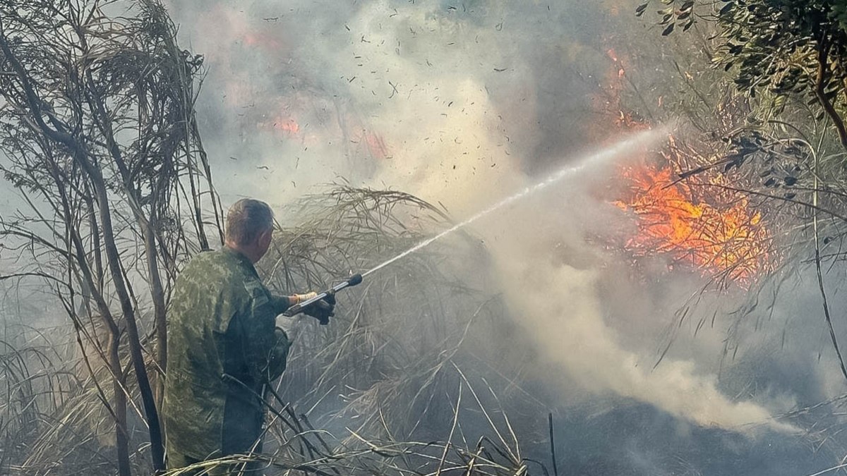 A maior parte das ocorrências durante a estiagem é provocada pela ação humana A maior parte das ocorrências durante a estiagem é provocada pela ação humana