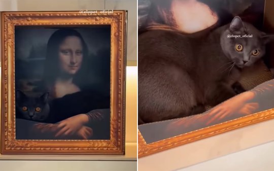 Cama de gato escondida em quadro viraliza com visual vintage