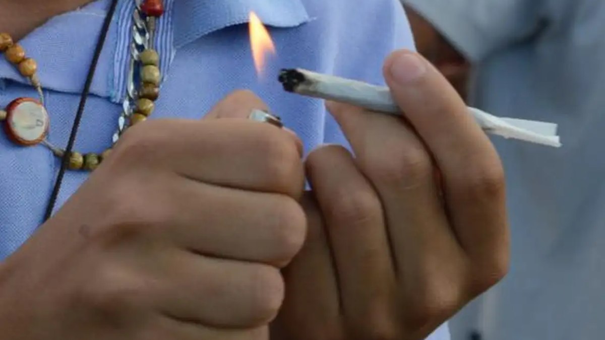 O porte de maconha acarreta em medidas administrativas e não mais criminais