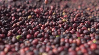 Minist%C3%A9rio%20ordena%20recolhimento%20de%20lotes%20em%20todo%20o%20pa%C3%ADs