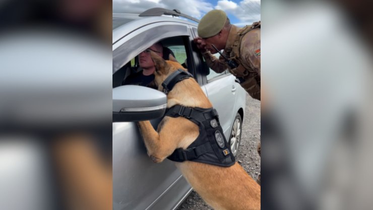 Vídeo mostra reação de motorista ao ser abordado por cão policial