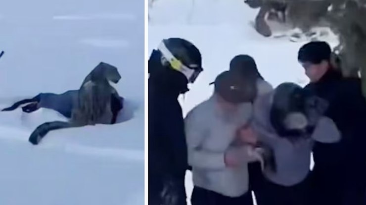 VÍDEO: leopardo ataca mulher que tentou tirar foto com o animal