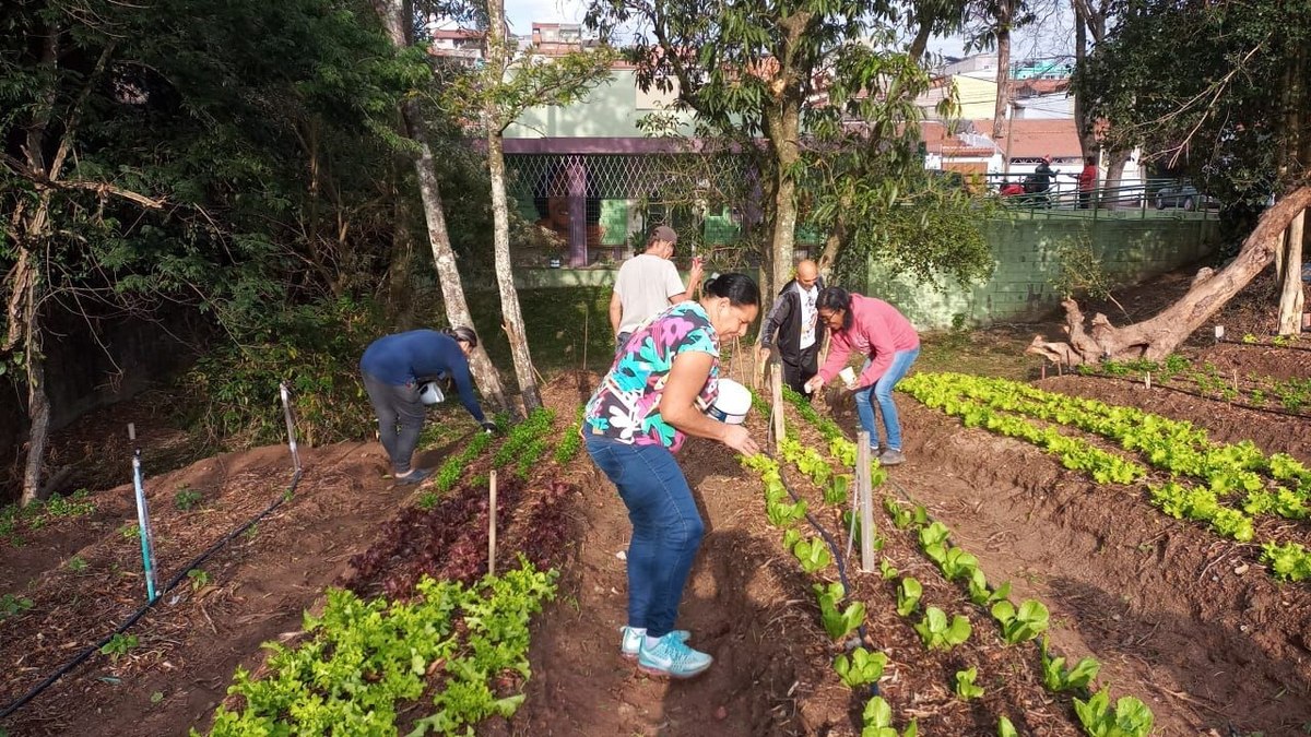 Além da socialização, as famílias desenvolvem conhecimentos sobre plantio, nutrição e alimentação saudável